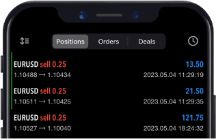 Asset 1 1 (1).png