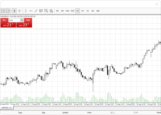 Functionality of WebTrader